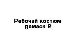 Рабочий костюм дамаск-2